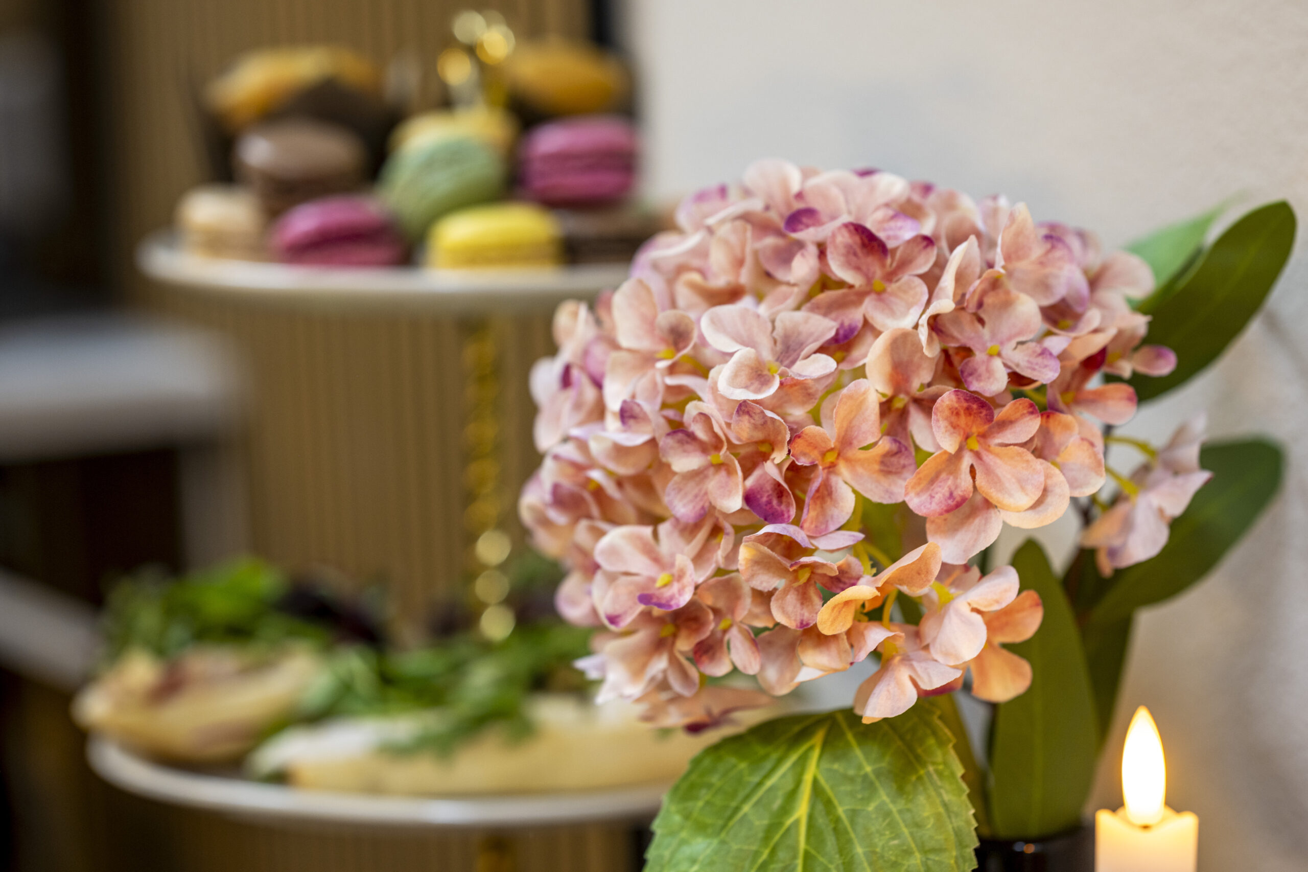 TS250907-Van der Doelen Heesch-0045